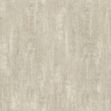 Soapstone Dove Distressed Wallpaper roll by Advantage