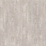 Soapstone Beige Distressed Wallpaper by Advantage
