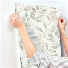 Pinnate Mint Leaves Mint by Chesapeake Botanical Wallpaper – Brewster Home Fashions 4169-13909