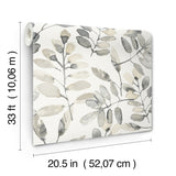 Pinnate Charcoal by Chesapeake Leaves Wallpaper – Brewster Home Fashions 4169-13910