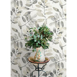 Pinnate Charcoal by Chesapeake Leaves Wallpaper – Brewster Home Fashions 4169-13910
