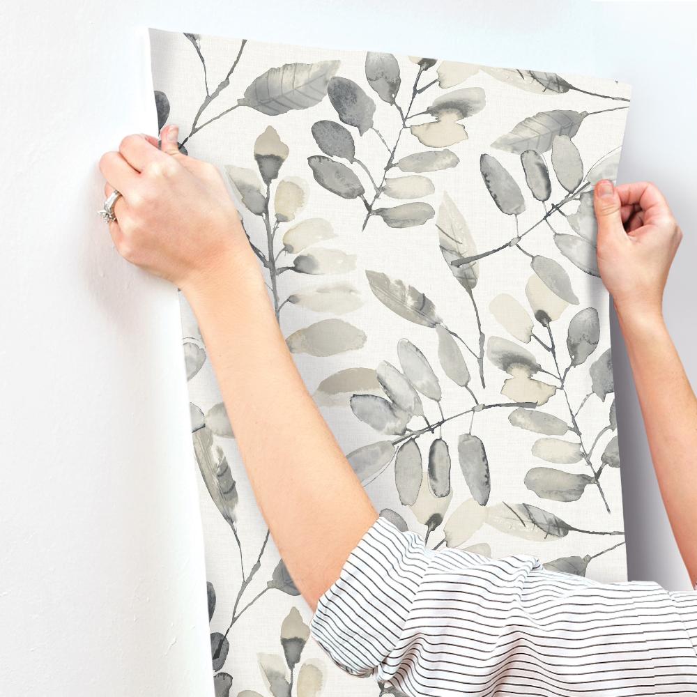 Pinnate Charcoal by Chesapeake Leaves Wallpaper – Brewster Home Fashions 4169-13910