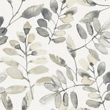 Pinnate Charcoal Leaves Wallpaper by Chesapeake, 20.5 in x 33 ft roll
