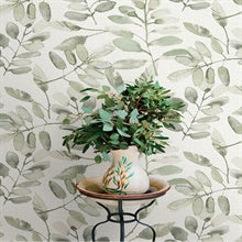 Pinnate Green Leaves by Chesapeake Botanical Wallpaper – Brewster Home Fashions 4169-13911