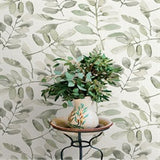 Pinnate Green Leaves by Chesapeake Botanical Wallpaper – Brewster Home Fashions 4169-13911