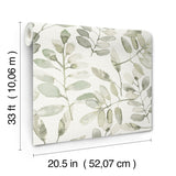 Pinnate Green Leaves by Chesapeake Botanical Wallpaper – Brewster Home Fashions 4169-13911