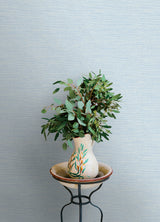Agave Sky Blue by Chesapeake Faux Grasscloth Wallpaper – Brewster Home Fashions 4169-24283