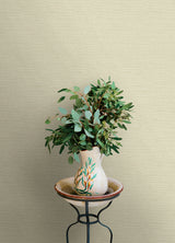 Agave Neutral by Chesapeake Faux Grasscloth Wallpaper – Brewster Home Fashions 4169-27611