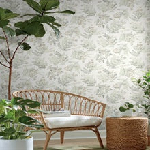 Frith Green by Chesapeake Botanical Wallpaper – Brewster Home Fashions 4169-83105