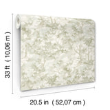Thicket Sage by Chesapeake Forest Wallpaper – Brewster Home Fashions 4169-83109