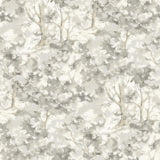 Thicket Charcoal Forest Wallpaper by Chesapeake