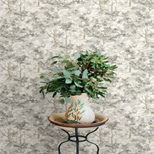 Thicket Charcoal by Chesapeake Forest Wallpaper – Brewster Home Fashions 4169-83110