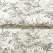 Thicket Charcoal by Chesapeake Forest Wallpaper – Brewster Home Fashions 4169-83110