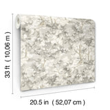 Thicket Charcoal by Chesapeake Forest Wallpaper – Brewster Home Fashions 4169-83110