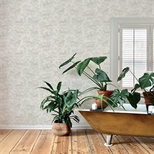 Revelry White by Chesapeake Forest Frolic Wallpaper – Brewster Home Fashions 4169-83113