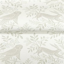 Revelry White by Chesapeake Forest Frolic Wallpaper – Brewster Home Fashions 4169-83113