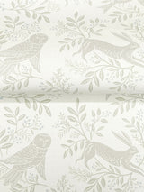 Revelry White by Chesapeake Forest Frolic Wallpaper – Brewster Home Fashions 4169-83113