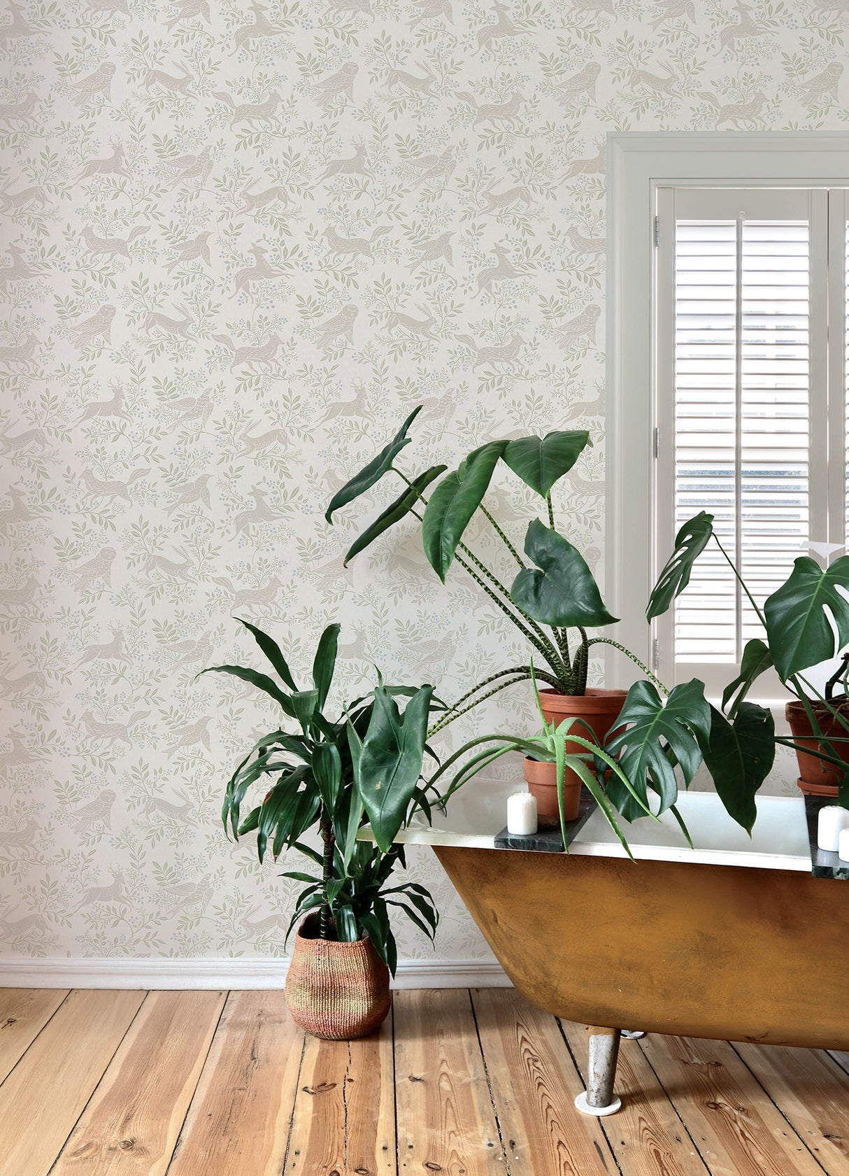 Revelry White by Chesapeake Forest Frolic Wallpaper – Brewster Home Fashions 4169-83113