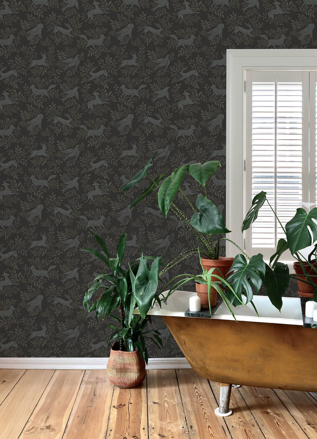 Revelry Black Forest Frolic Black by Chesapeake Animals Wallpaper – Brewster Home Fashions 4169-83114