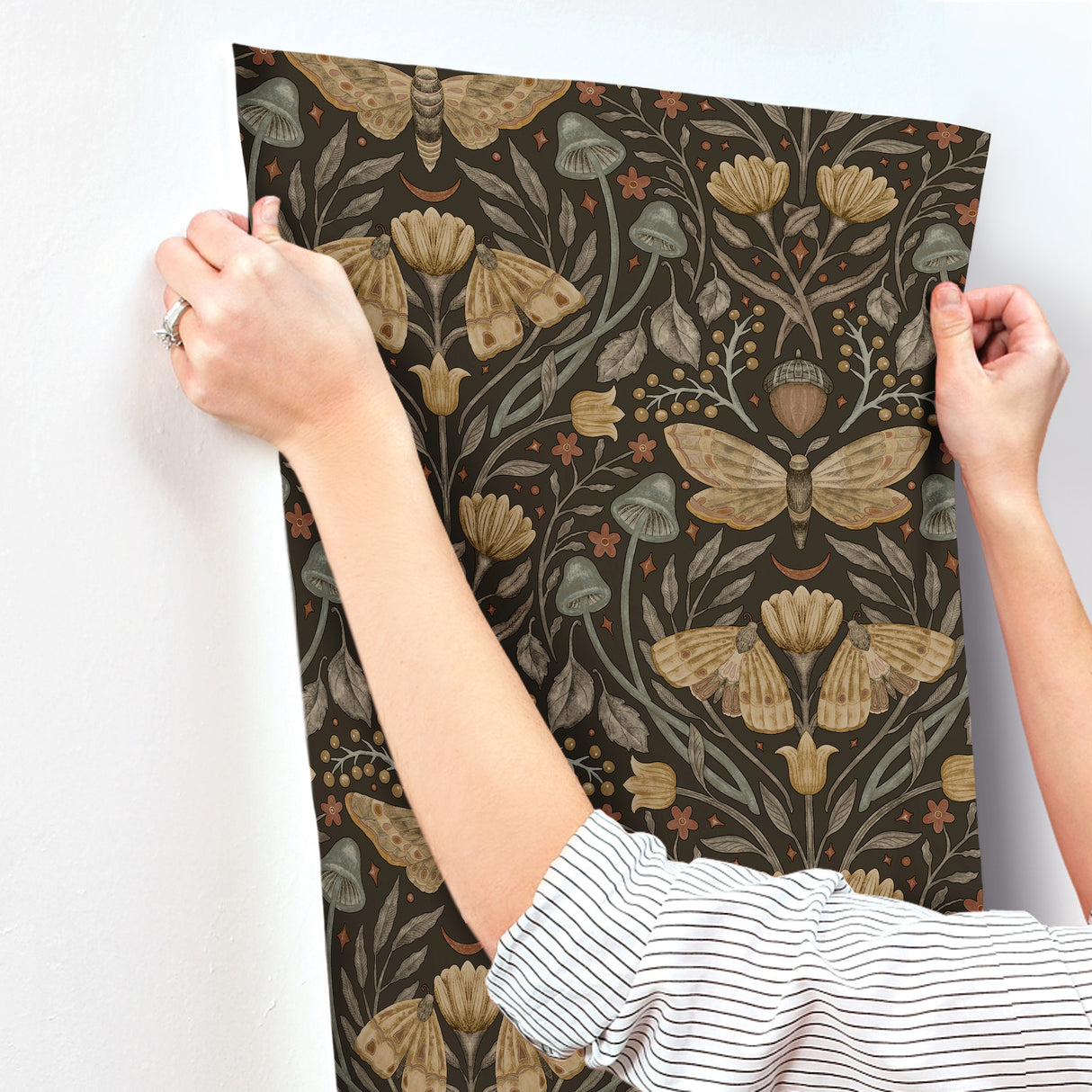 Mystic Moth Black by Chesapeake Forest Magic Wallpaper – Brewster Home Fashions 4169-83116