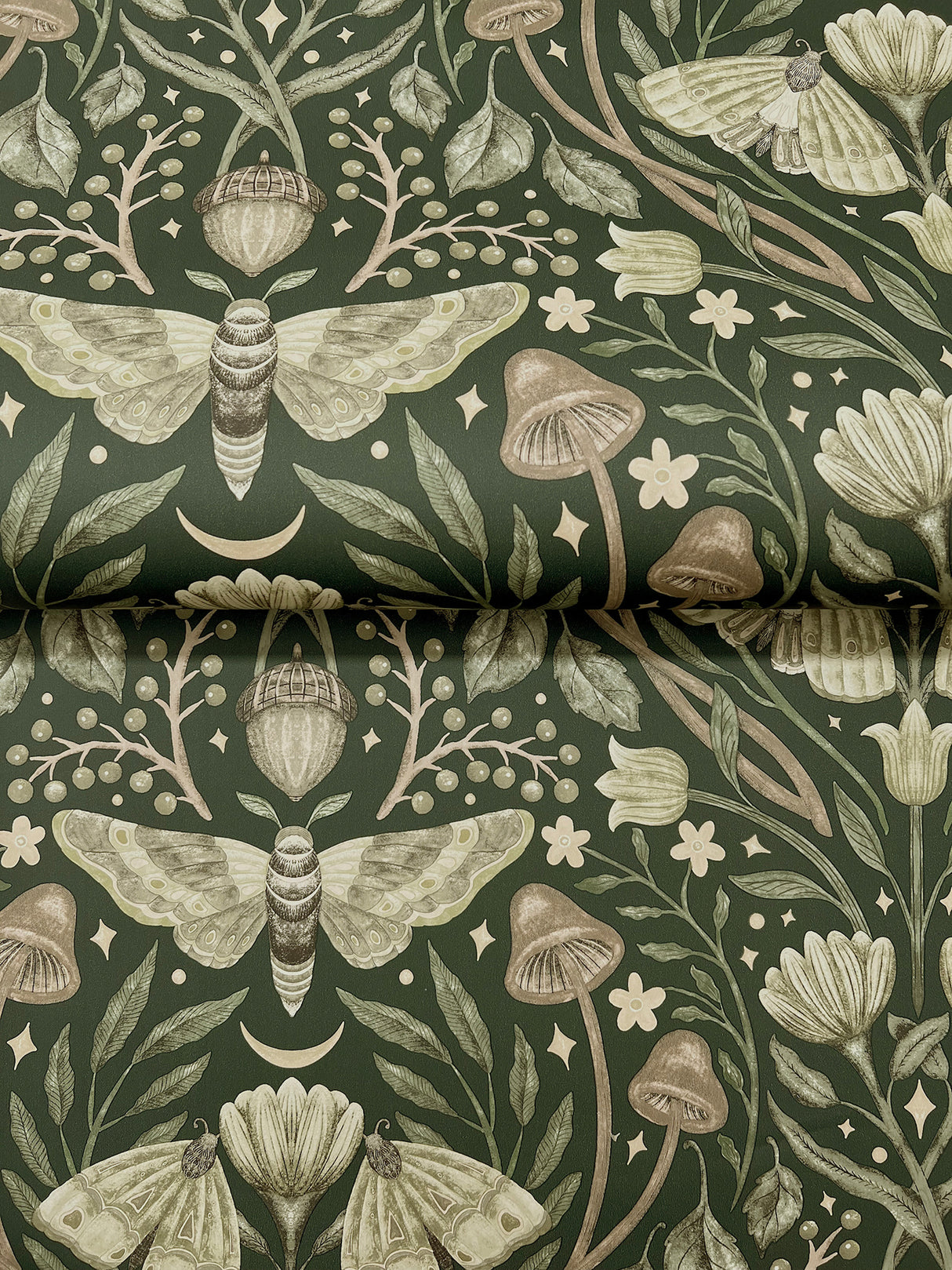 Mystic Moth Dark Green by Chesapeake Forest Magic Wallpaper – Brewster Home Fashions 4169-83120