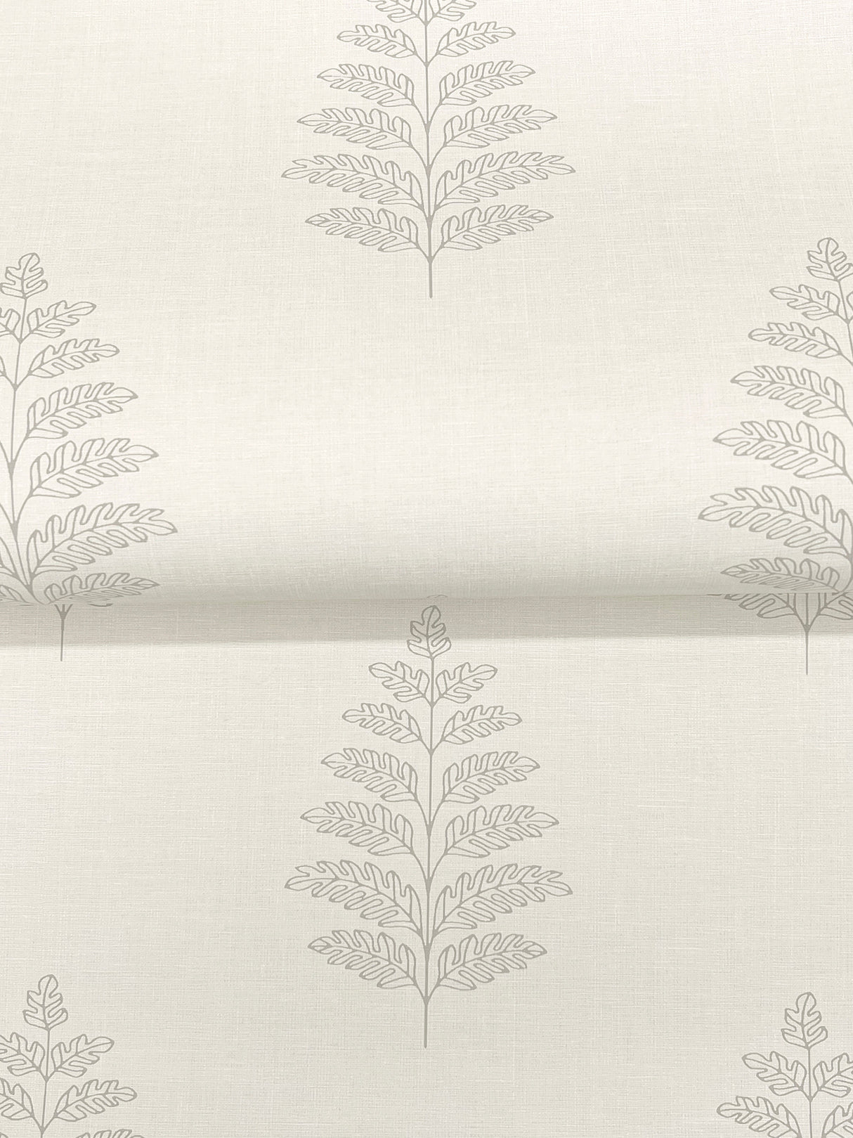 Frond Cream by Chesapeake Leaf Wallpaper – Brewster Home Fashions 4169-83125