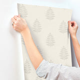 Frond Cream by Chesapeake Leaf Wallpaper – Brewster Home Fashions 4169-83125