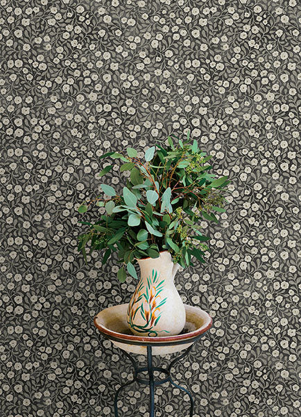 Poppy Trail Black by Chesapeake Botanical Floral Wallpaper – Brewster Home Fashions 4169-83133