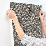 Poppy Trail Black by Chesapeake Botanical Floral Wallpaper – Brewster Home Fashions 4169-83133