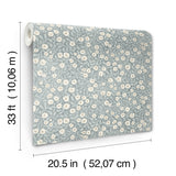 Poppy Trail Light Blue by Chesapeake Floral Wallpaper – Brewster Home Fashions 4169-83134