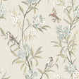 Tea Olive Beige Finch Frolic Wallpaper by Chesapeake – Brewster Home Fashions 4169-83137