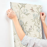 Tea Olive Beige by Chesapeake Finch Frolic Wallpaper – Brewster Home Fashions 4169-83137