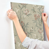 Tea Olive Green by Chesapeake Finch Frolic Birds Wallpaper – Brewster 4169-83138