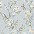 Tea Olive Light Blue Finch Frolic Wallpaper by Chesapeake