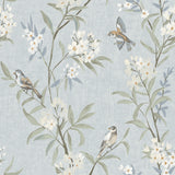 Tea Olive Light Blue Finch Frolic Wallpaper by Chesapeake