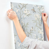 Tea Olive Light Blue by Chesapeake Finch Frolic Wallpaper – Brewster Home Fashions 4169-83140