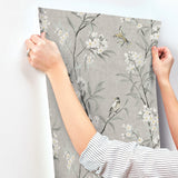 Tea Olive Gray by Chesapeake Finch Frolic Wallpaper – Brewster Home Fashions 4169-83141