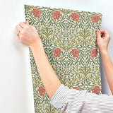 Oxford Union Green by A-Street Prints Floral Vines Wallpaper – Brewster Home Fashions 4171-82043