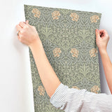 Oxford Union Grey by A-Street Prints Floral Vines Wallpaper – Brewster Home Fashions 4171-82046