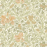 Iris Light Green Wild Gardens floral wallpaper by A-Street Prints, SKU 4171-82049