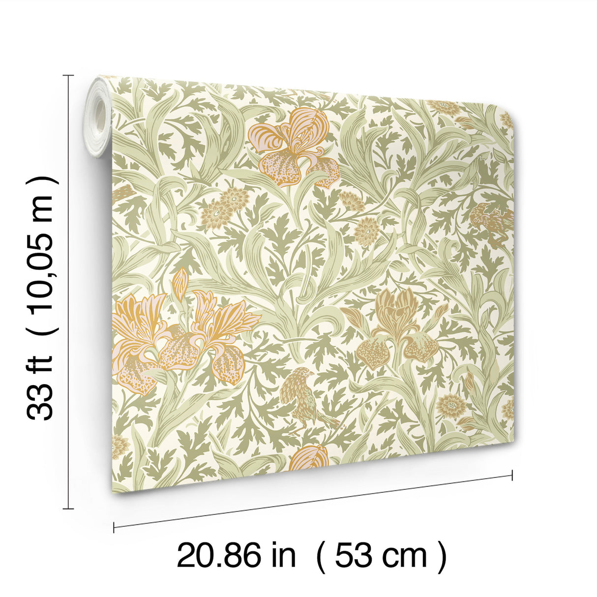 Iris Light Green by A-Street Prints Wild Gardens Wallpaper – Brewster Home Fashions 4171-82049
