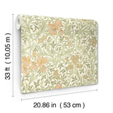 Iris Light Green by A-Street Prints Wild Gardens Wallpaper – Brewster Home Fashions 4171-82049