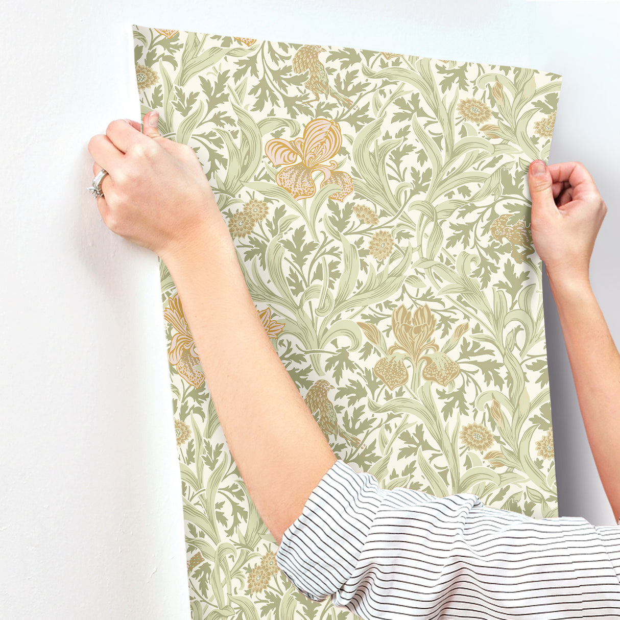 Iris Light Green by A-Street Prints Wild Gardens Wallpaper – Brewster Home Fashions 4171-82049
