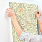 Iris Light Green by A-Street Prints Wild Gardens Wallpaper – Brewster Home Fashions 4171-82049