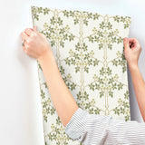 Blackberry Chartreuse by A-Street Prints Vine Trellis Wallpaper – Brewster 4171-82053