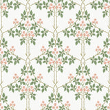 Blackberry Pink Vine Trellis Wallpaper – A-Street Prints