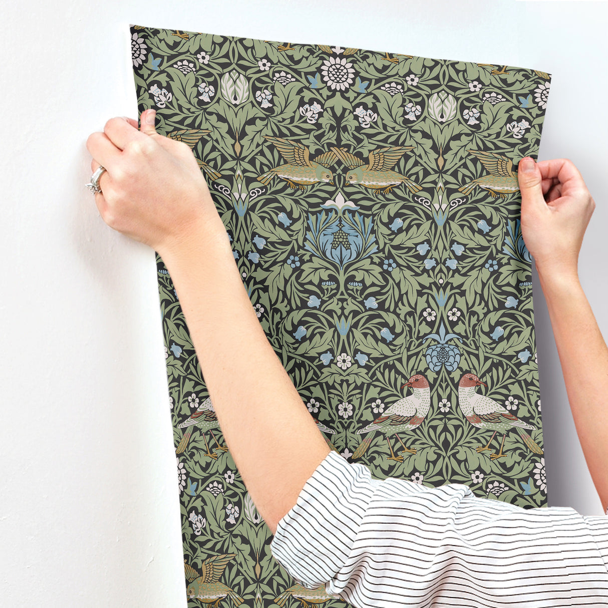 Bird Multicolor by A-Street Prints Floral Thicket Wallpaper – Brewster Home Fashions 4171-82062