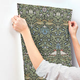 Bird Multicolor by A-Street Prints Floral Thicket Wallpaper – Brewster Home Fashions 4171-82062