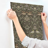 Bird Brown by A-Street Prints Floral Thicket Wallpaper – Brewster Home Fashions 4171-82064