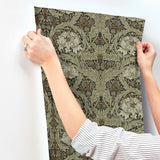 African Marigold Black by A-Street Prints Floral Wallpaper – Brewster Home Fashions 4171-82073